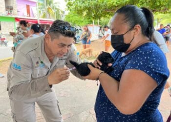 Arranca jornada de vacunación antirrábica canina y felina en Isla Mujeres