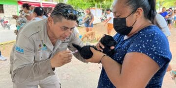 Arranca jornada de vacunación antirrábica canina y felina en Isla Mujeres