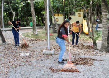 Embellecen funcionarios de Puerto Morelos la imagen urbana del Parque Punta Corcho