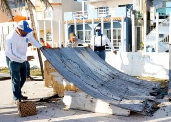 Le dan manita de gato al Skate Park con la brigada del “Limpiatón”
