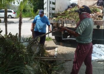Refuerza Servicios Públicos de Puerto Morelos acciones de limpieza de alcantarillas
