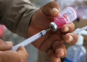 Avanza la Jornada de Vacunación Canina y Felina en Isla Mujeres