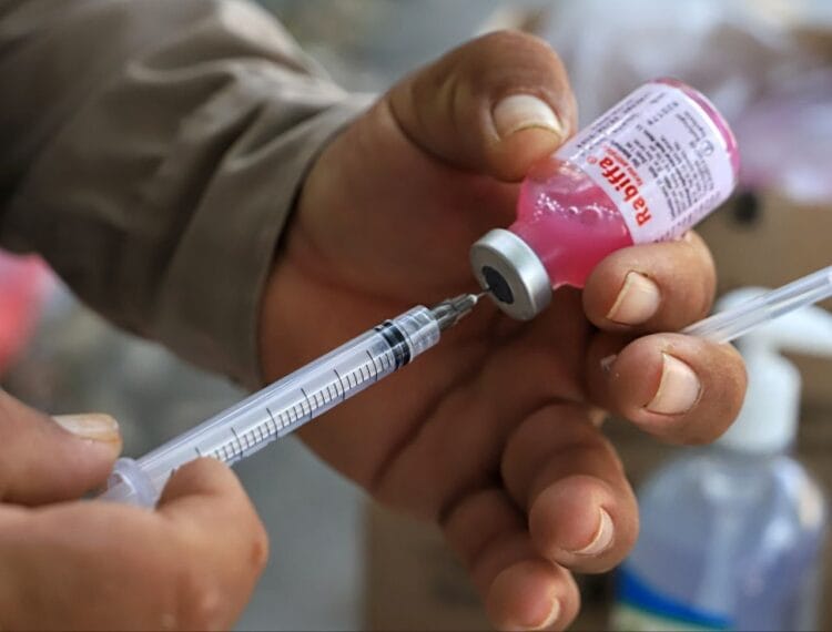 Avanza la Jornada de Vacunación Canina y Felina en Isla Mujeres