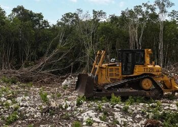 Autoriza juez federal obras en el tramo 5 norte del Tren Maya