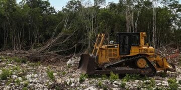 Autoriza juez federal obras en el tramo 5 norte del Tren Maya