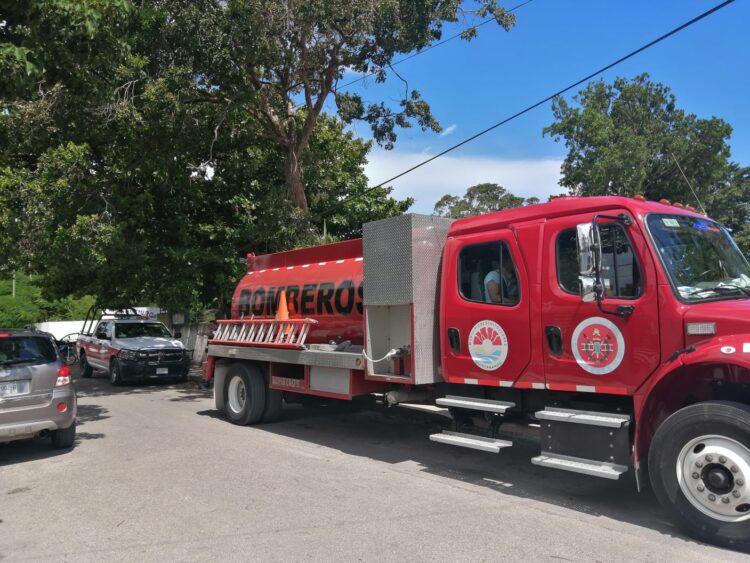Atiende Bomberos de Cancún reporte de abejas en escuela
