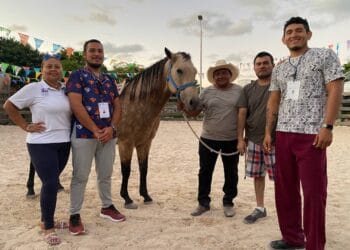 Ofrece CRIM Isla Mujeres equinoterapias
