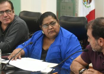 Confirma TEQROO diputación de Alfonsa Leticia Padilla del MAS