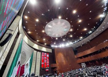 Aprueban diputados iniciativa del PVEM para explotación de delfines