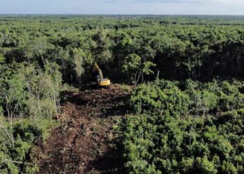 Iniciarán en julio de 2023 pruebas del Tren Maya, asegura AMLO