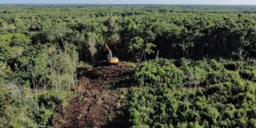 Iniciarán en julio de 2023 pruebas del Tren Maya, asegura AMLO