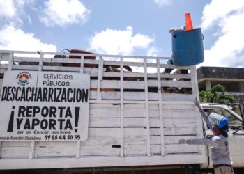Beneficia gobierno de Benito Juárez a cancunenses con jornadas de descacharrización