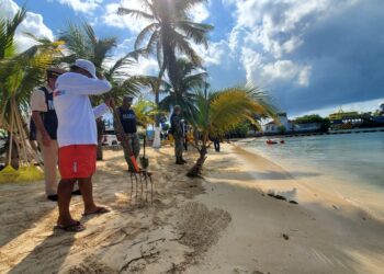 Se realizó con éxito el simulacro de derrame de hidrocarburo en la carbonera de Isla Mujeres