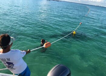 Con la colocación de boyado nuevo garantizan la seguridad de bañistas en Isla Mujeres