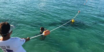 Con la colocación de boyado nuevo garantizan la seguridad de bañistas en Isla Mujeres