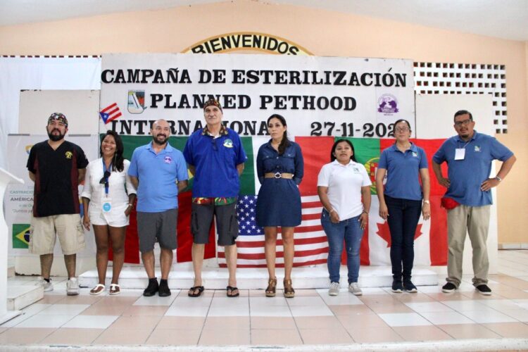 Exitosa jornada de esterilización de fauna doméstica en Puerto Morelos