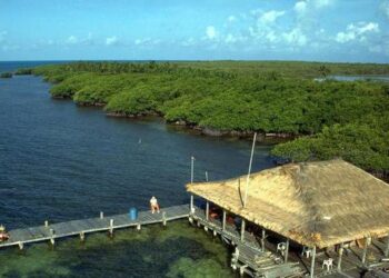 Gobierno federal autoriza a Semar uso de dos predios en Quintana Roo