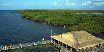 Gobierno federal autoriza a Semar uso de dos predios en Quintana Roo