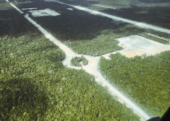 El Tren Maya será un medio de comunicación "eficaz y moderno": AMLO