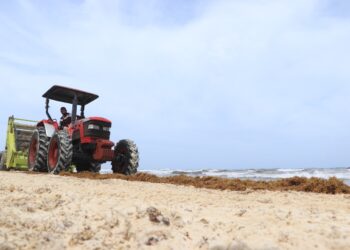 Gobierno de Ana Patricia Peralta garantiza playas limpias de Cancún