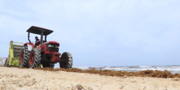 Gobierno de Ana Patricia Peralta garantiza playas limpias de Cancún