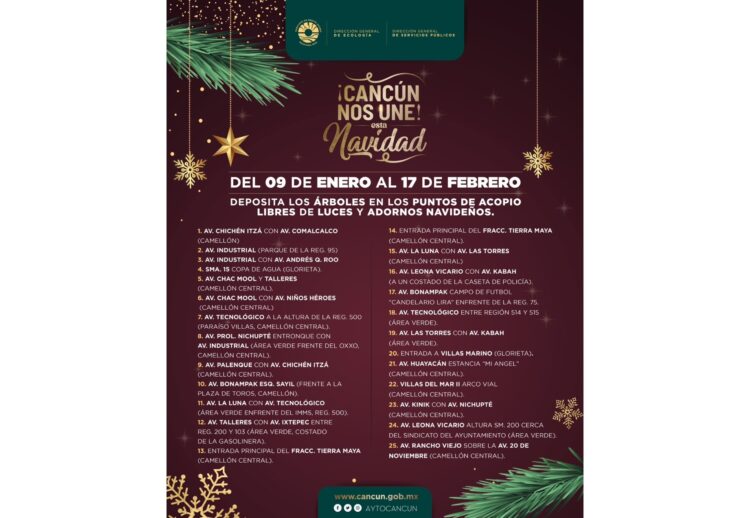 Alistan campaña “Acopio de Árboles de Navidad Temporada 2023” en Cancún