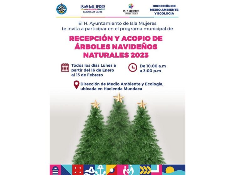 Ponen en marcha programa de acopio de árboles navideños en Isla Mujeres