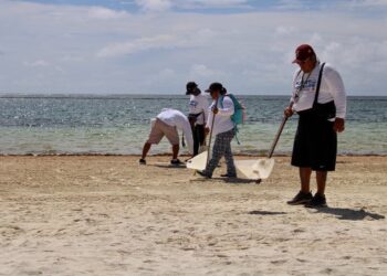 Afina Puerto Morelos estrategias para hacer frente al fenómeno del sargazo