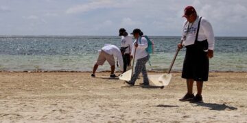 Afina Puerto Morelos estrategias para hacer frente al fenómeno del sargazo