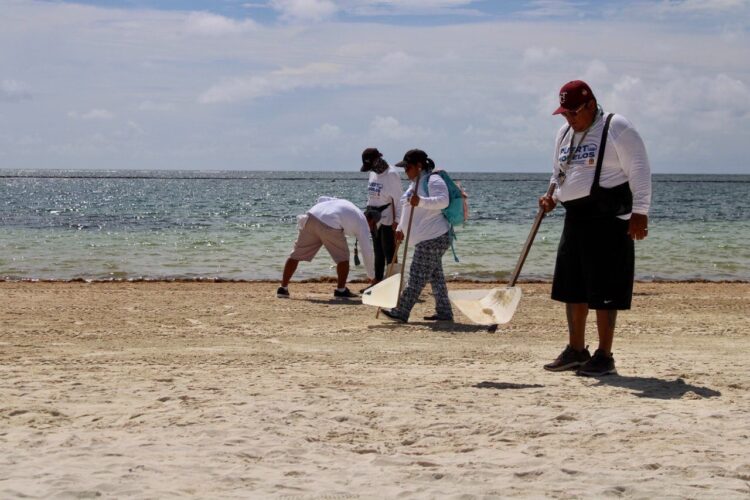 Afina Puerto Morelos estrategias para hacer frente al fenómeno del sargazo