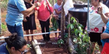 Gobierno de Puerto Morelos impulsa a mujeres del campo