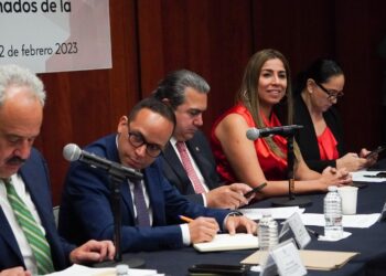 Expone Marybel Villegas ante candidatos a la COFECE problemática de navieras en Quintana Roo