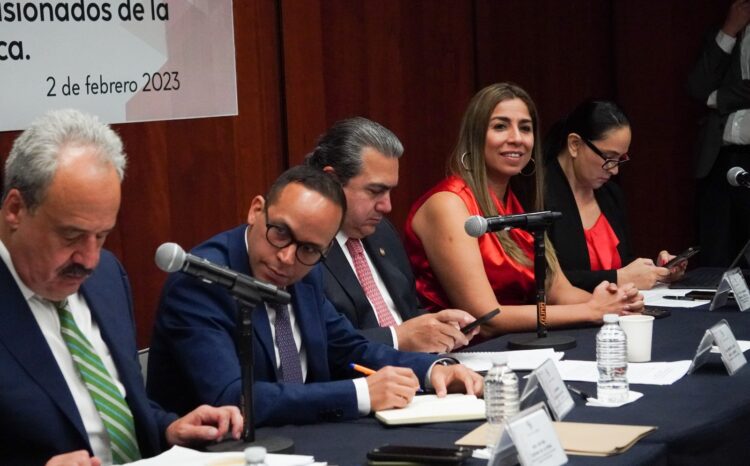 Expone Marybel Villegas ante candidatos a la COFECE problemática de navieras en Quintana Roo