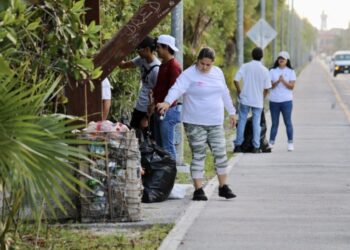 Jóvenes limpian el manglar para revitalizar acceso a Puerto Morelos