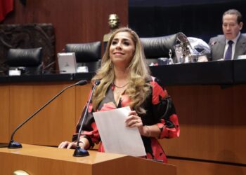 Marybel Villegas solicita a Gobernación reconsiderar visas digitales para turistas brasileños