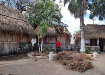 Realizan rehabilitación de palapas del parador turístico de Leona Vicario