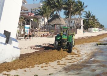 Comienzan colocación del boyado de barreras antisargazo en Puerto Morelos
