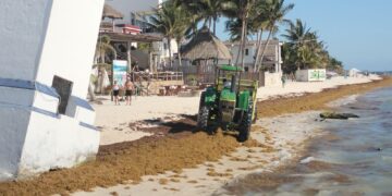 Comienzan colocación del boyado de barreras antisargazo en Puerto Morelos