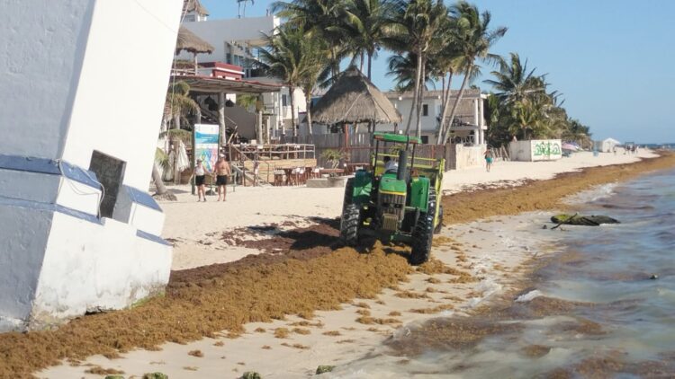 Comienzan colocación del boyado de barreras antisargazo en Puerto Morelos
