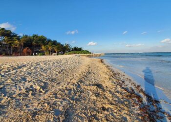 Mantienen limpias las playas ante el arribo de sargazo en Isla Mujeres
