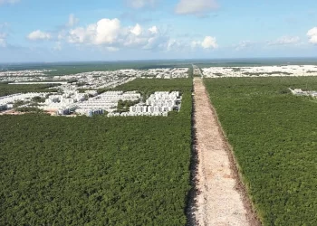 Es absolutamente falso que la obra del Tren Maya haya sido detenida: Fonatur