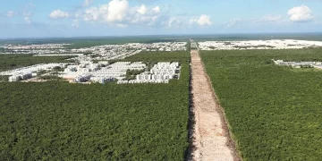 Es absolutamente falso que la obra del Tren Maya haya sido detenida: Fonatur