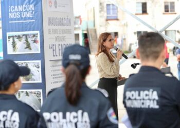 Trabajo permanente para combatir la violencia y sus orígenes: Mara Lezama