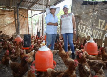 Gobierno de Blanca Merari promueve gastroturismo como opción para fortalecer a Puerto Morelos