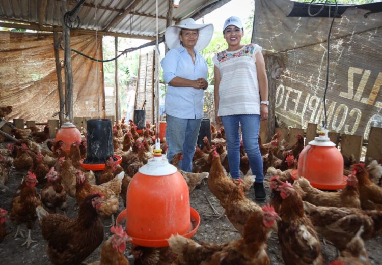 Gobierno de Blanca Merari promueve gastroturismo como opción para fortalecer a Puerto Morelos