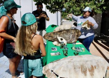 Dirección de Ecología impulsa la educación ambiental en Puerto Morelos