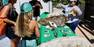 Dirección de Ecología impulsa la educación ambiental en Puerto Morelos