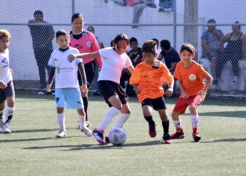 En Puerto Morelos ponen en marcha la Liga Municipal de Fútbol GAT 7