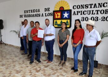 Apicultores de Leona Vicario reciben constancia de baja infestación de varroa en sus colmenas