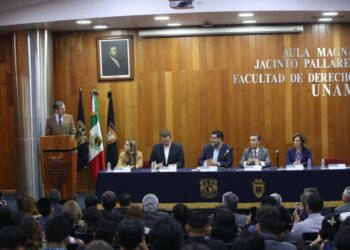 Pide Lorenzo Córdova al TEPJF que atienda preocupaciones del INE